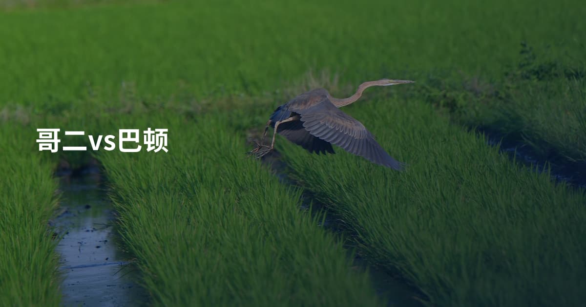 哥二vs巴顿