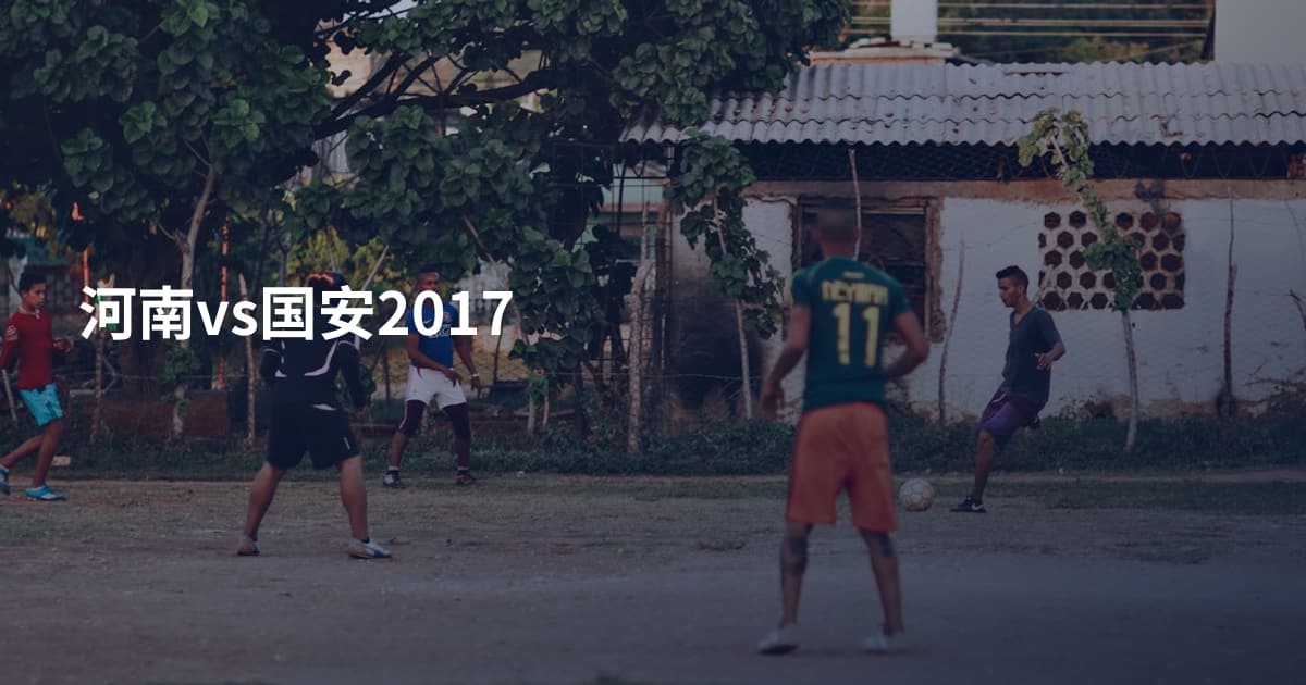 河南vs国安2017