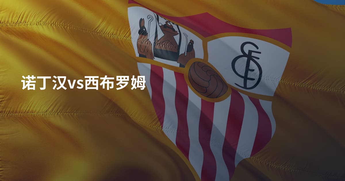 诺丁汉vs西布罗姆