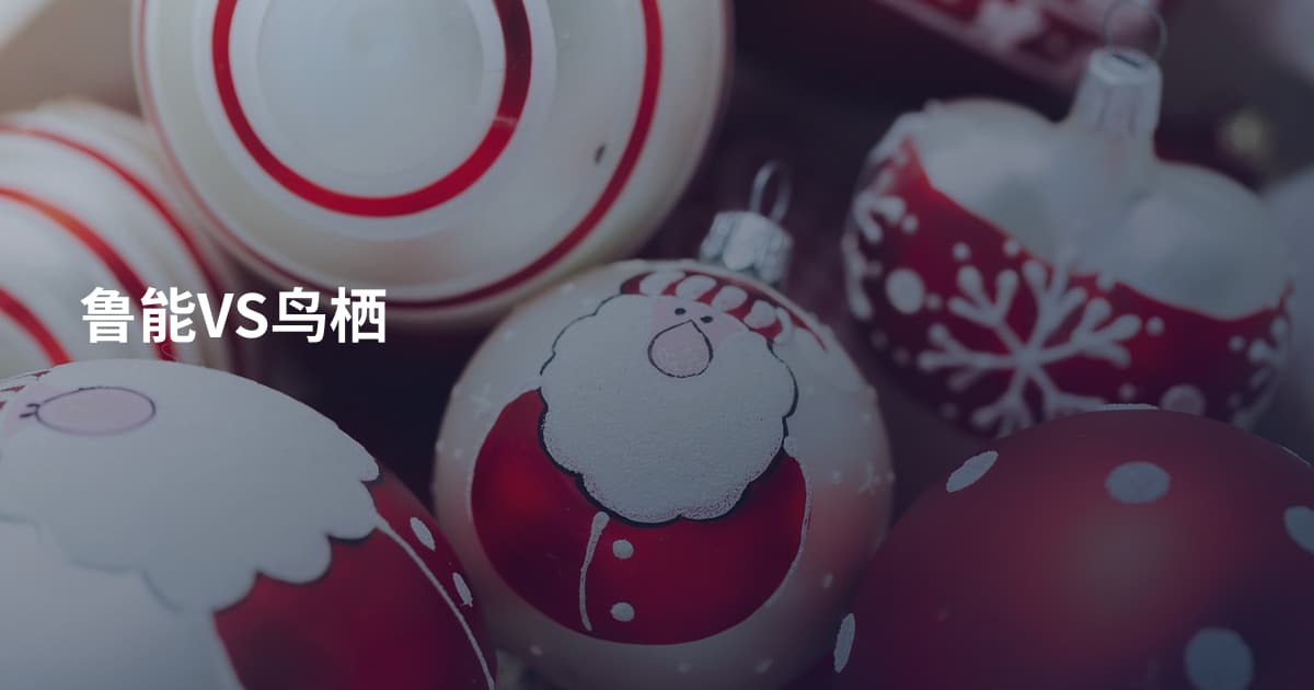 鲁能VS鸟栖