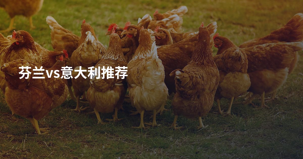 芬兰vs意大利推荐