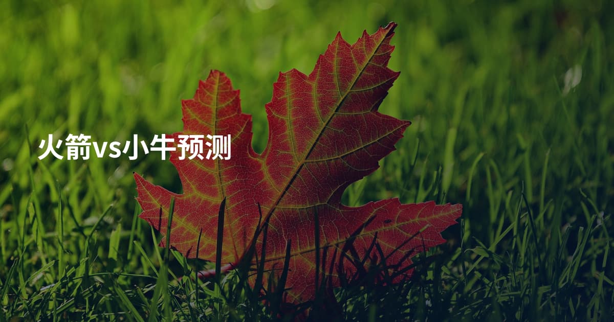 火箭vs小牛预测