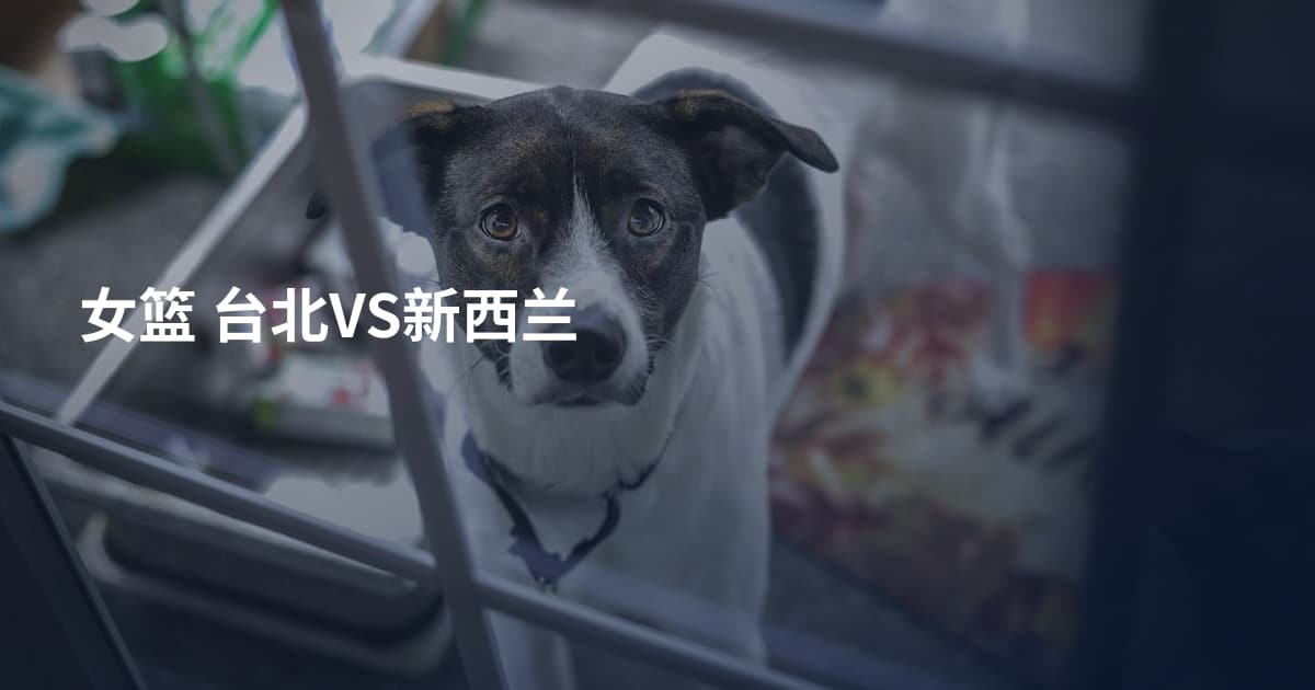女篮 台北VS新西兰