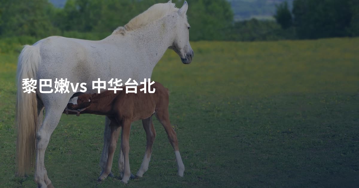黎巴嫩vs 中华台北