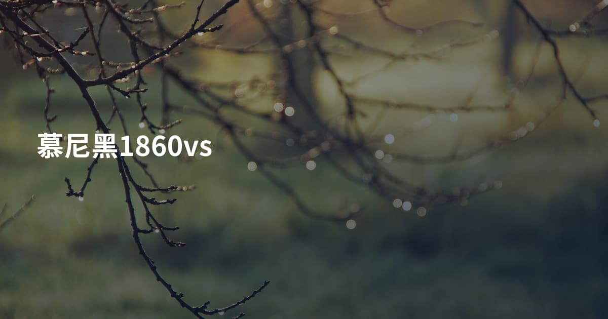 慕尼黑1860vs