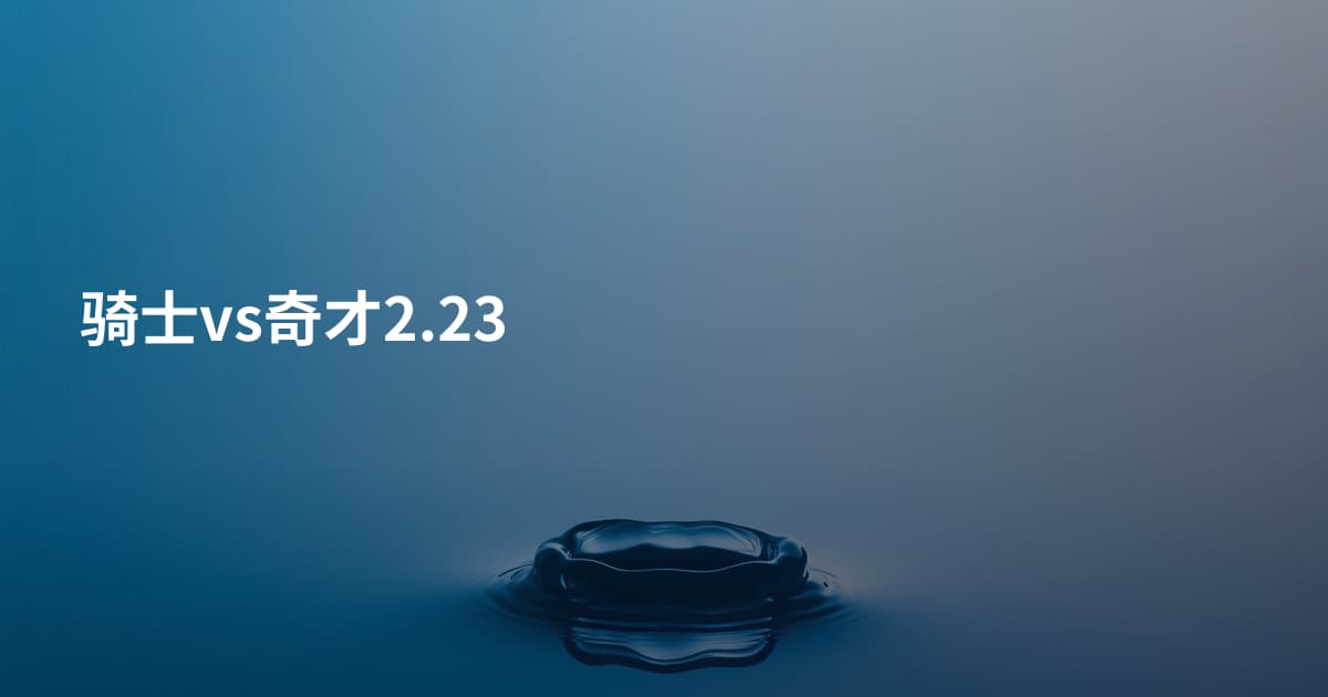 骑士vs奇才2.23