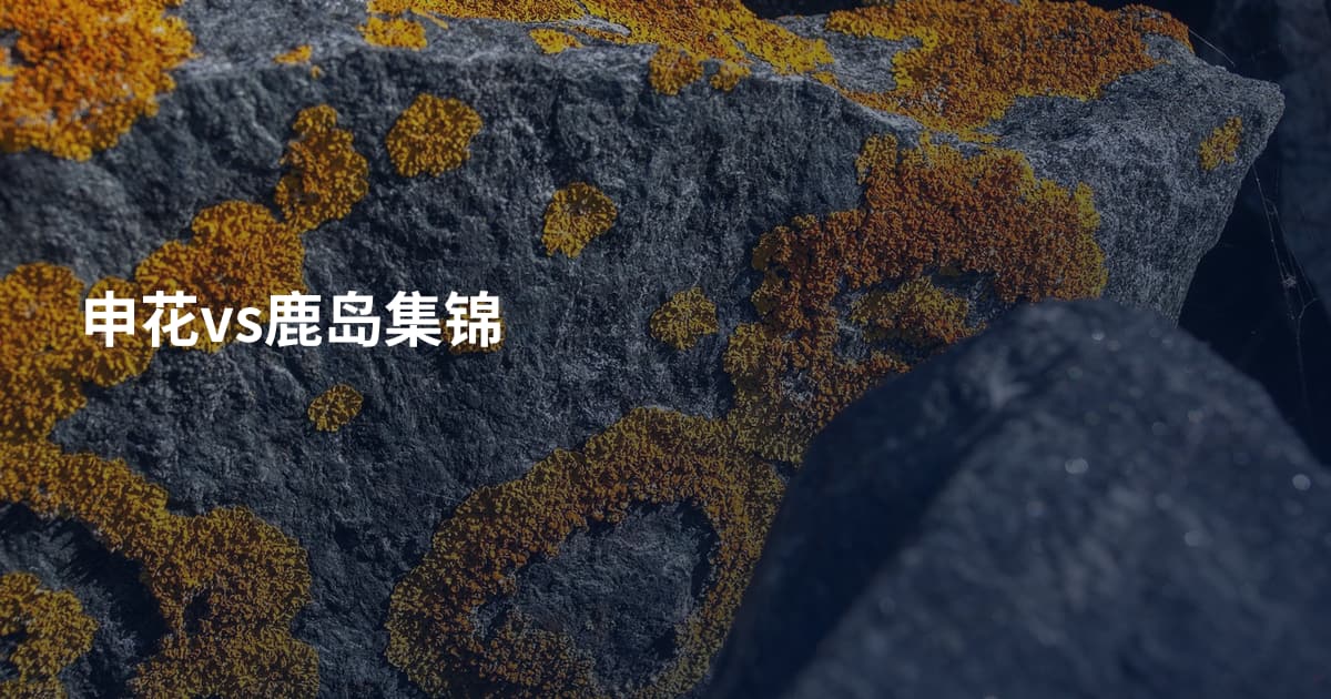 申花vs鹿岛集锦