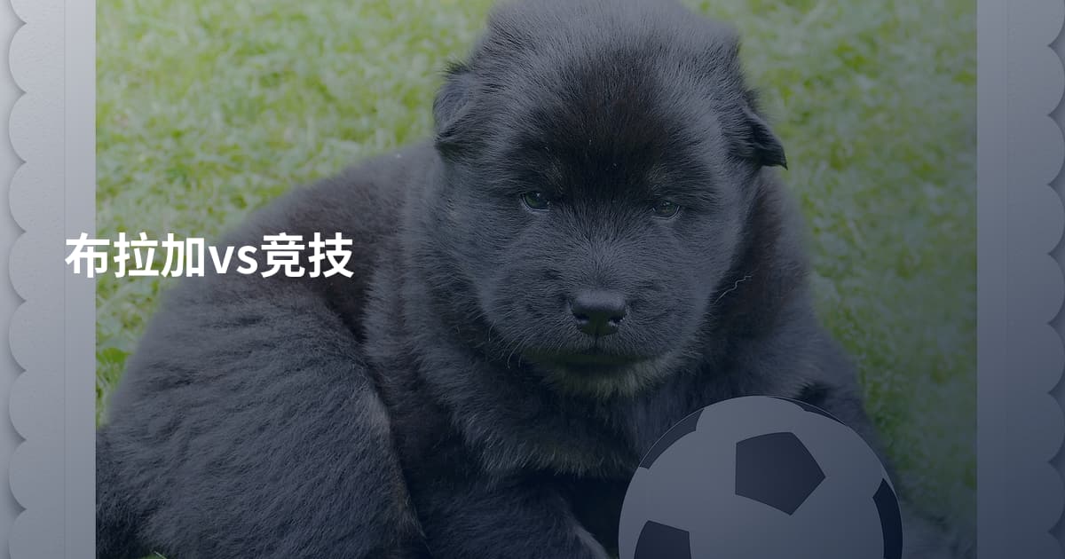 布拉加vs竞技