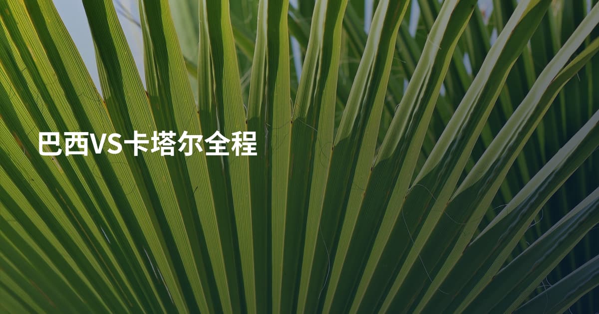 巴西VS卡塔尔全程