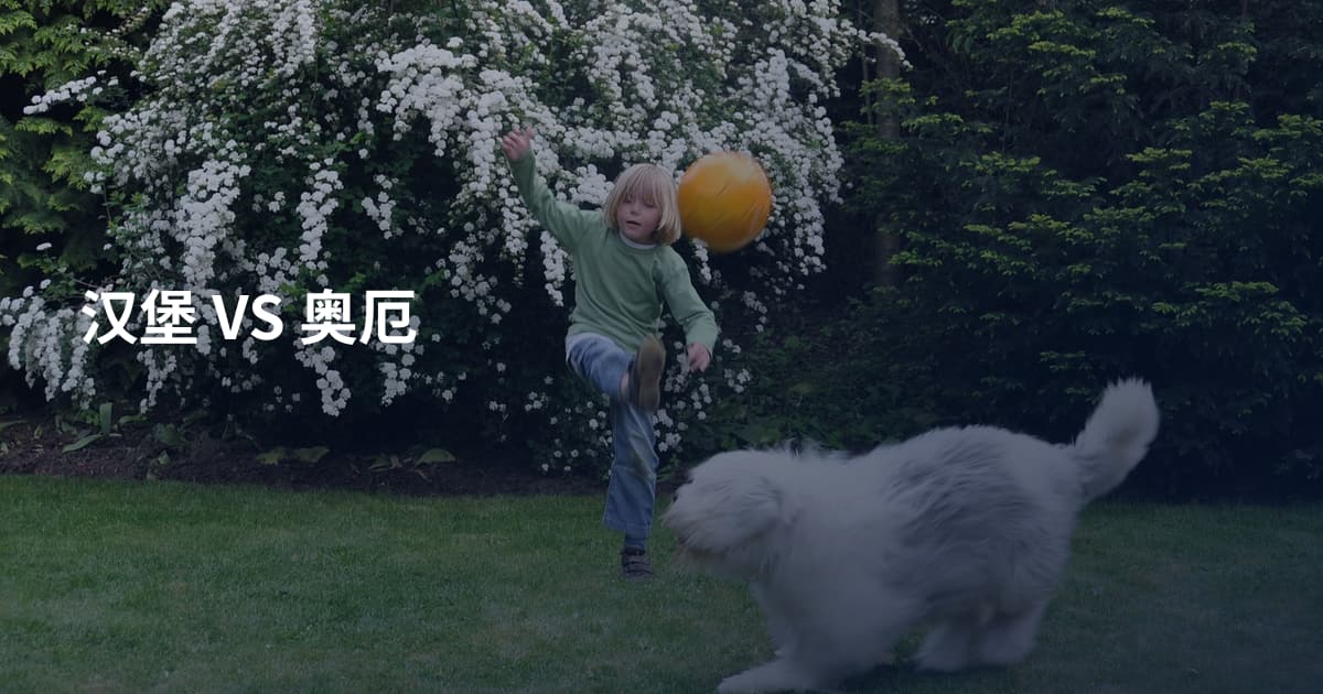 汉堡 VS 奥厄
