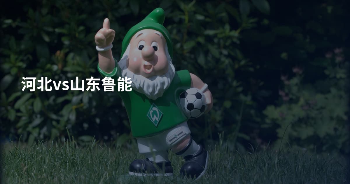 河北vs山东鲁能