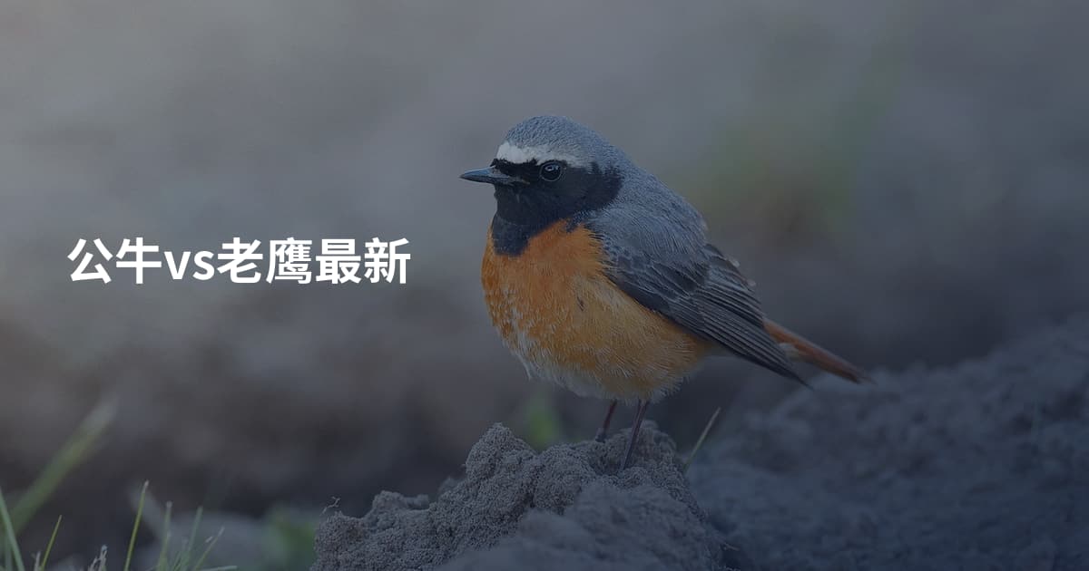 公牛vs老鹰最新