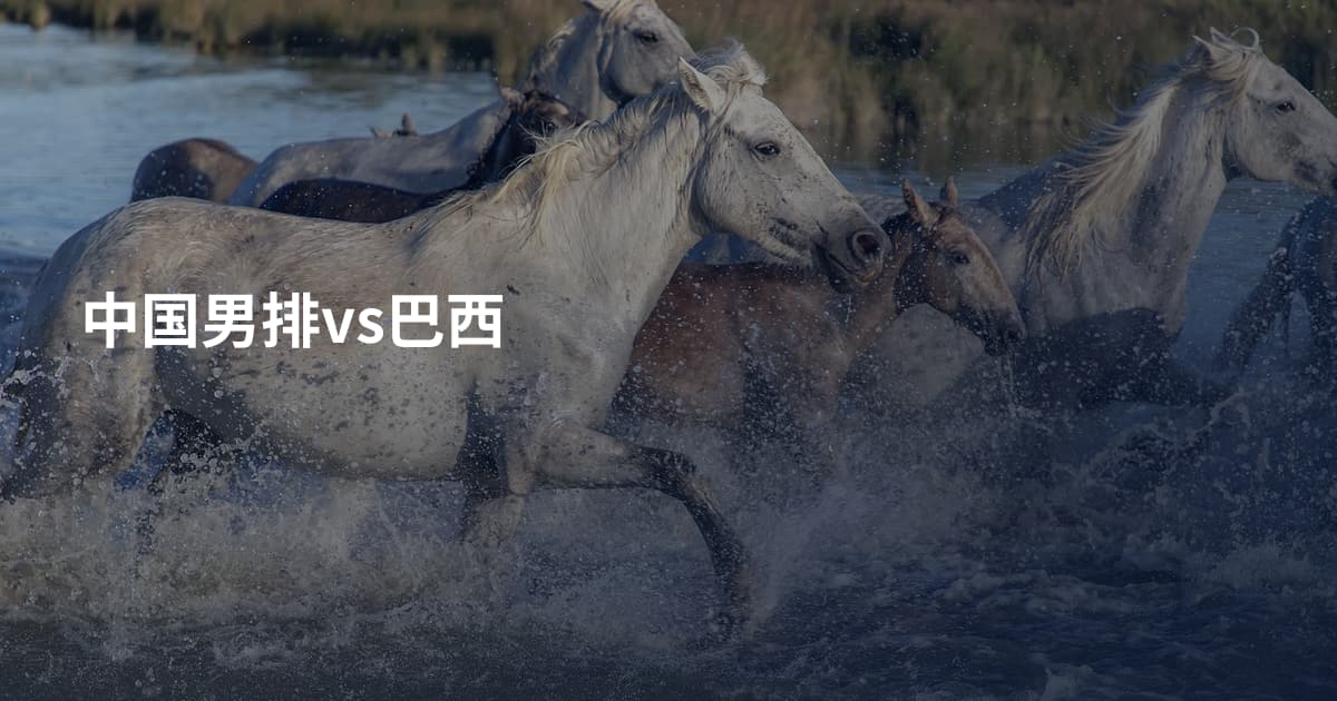 中国男排vs巴西