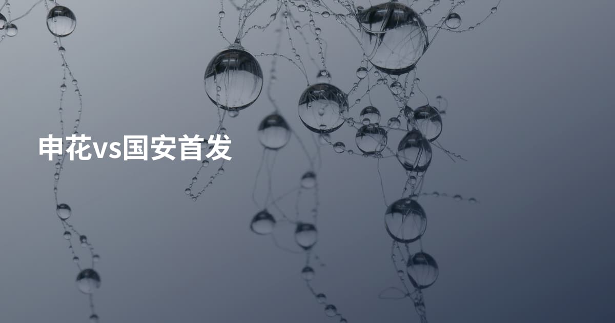 申花vs国安首发