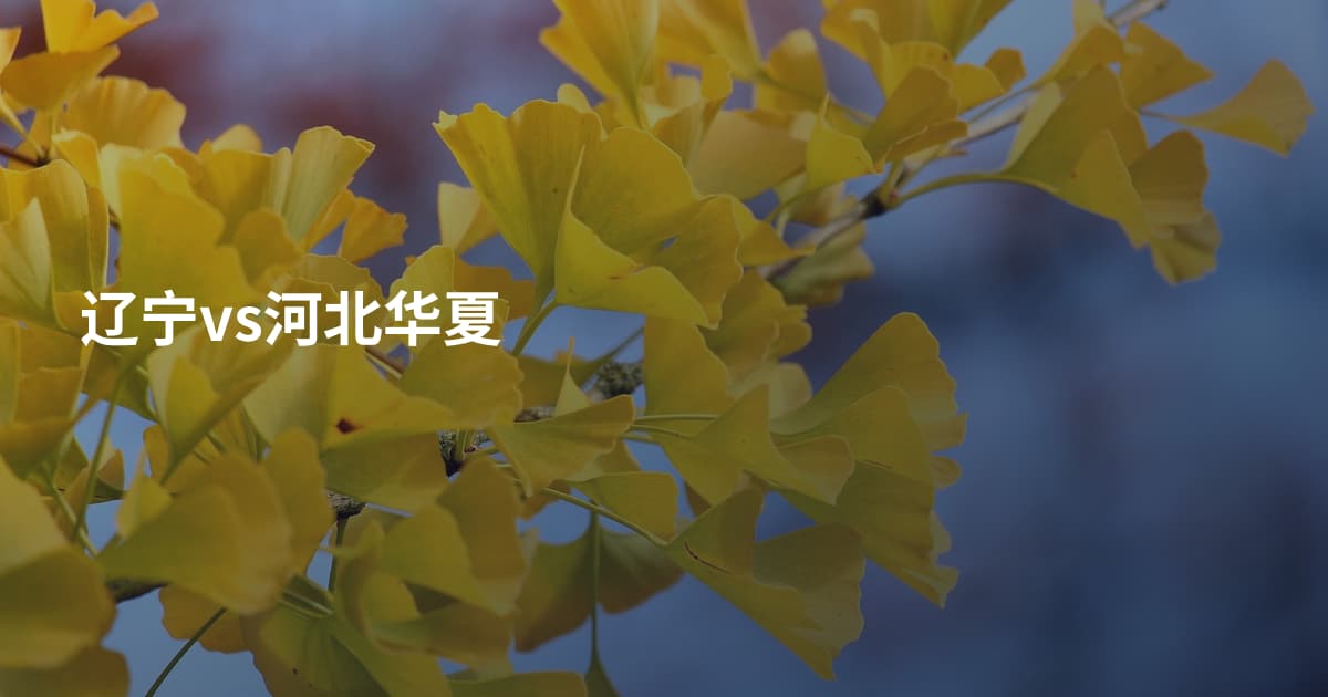 辽宁vs河北华夏