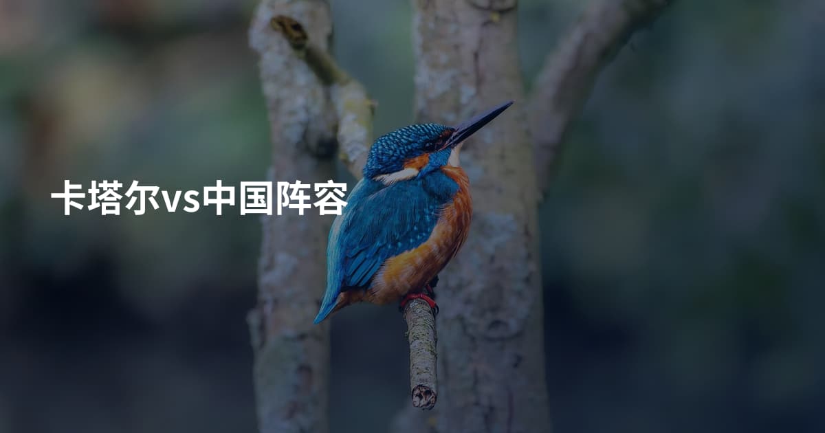 卡塔尔vs中国阵容