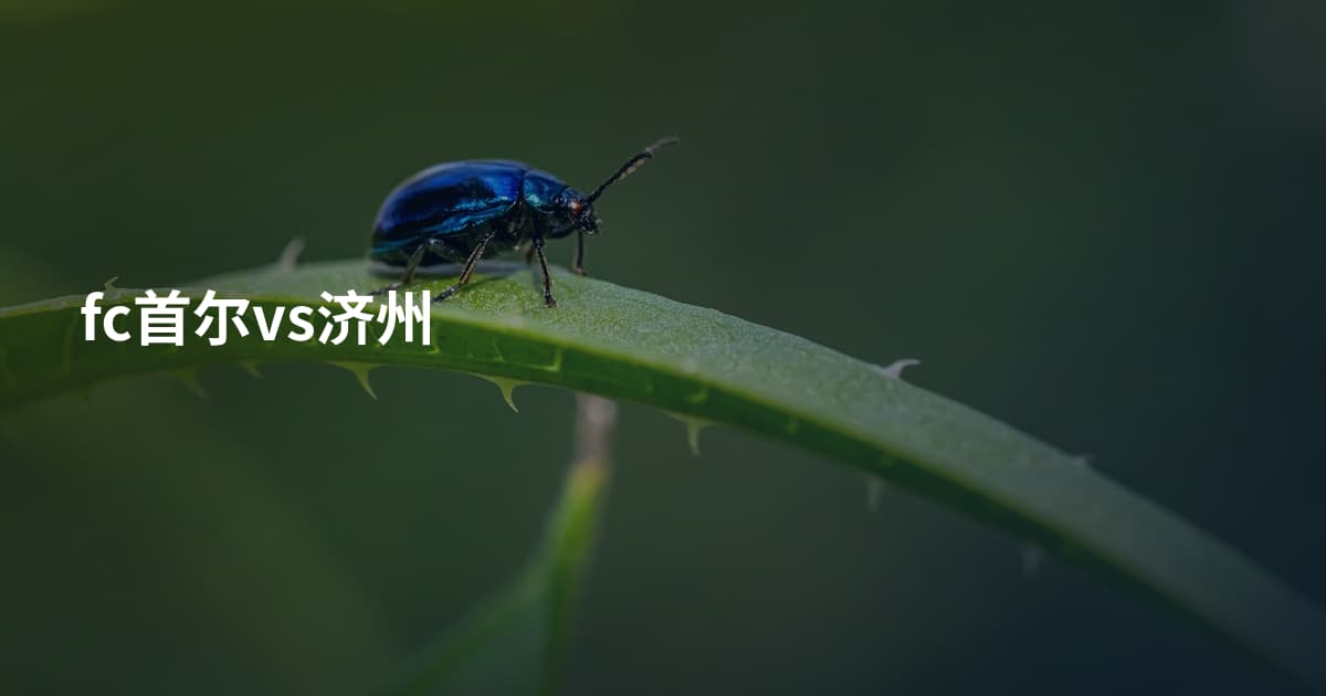 fc首尔vs济州