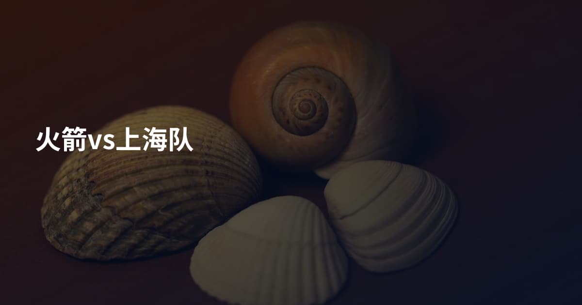 火箭vs上海队