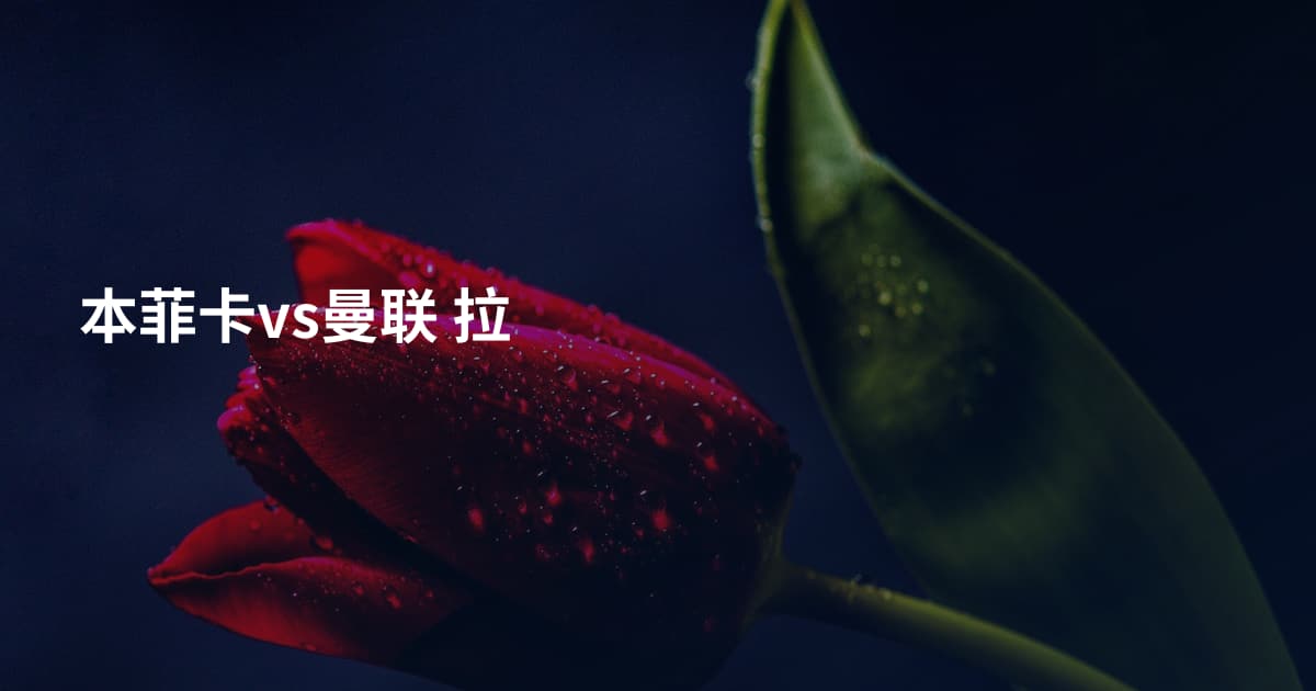 本菲卡vs曼联 拉
