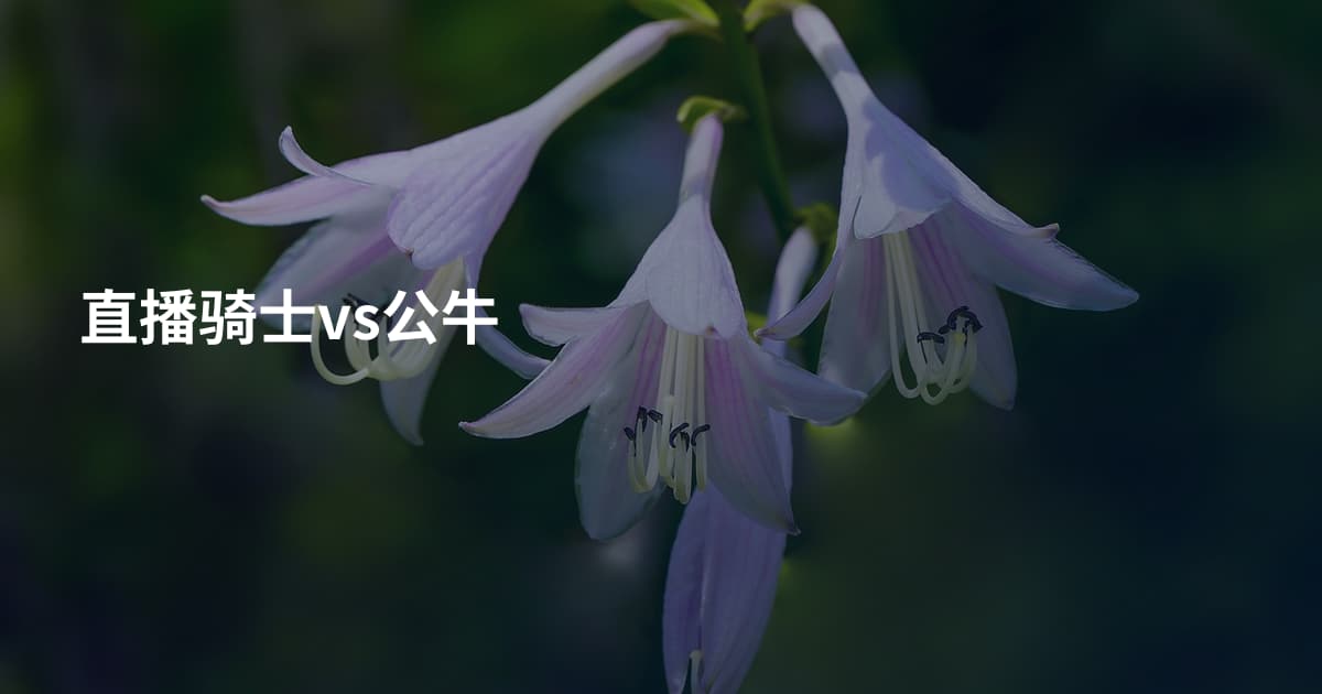 直播骑士vs公牛