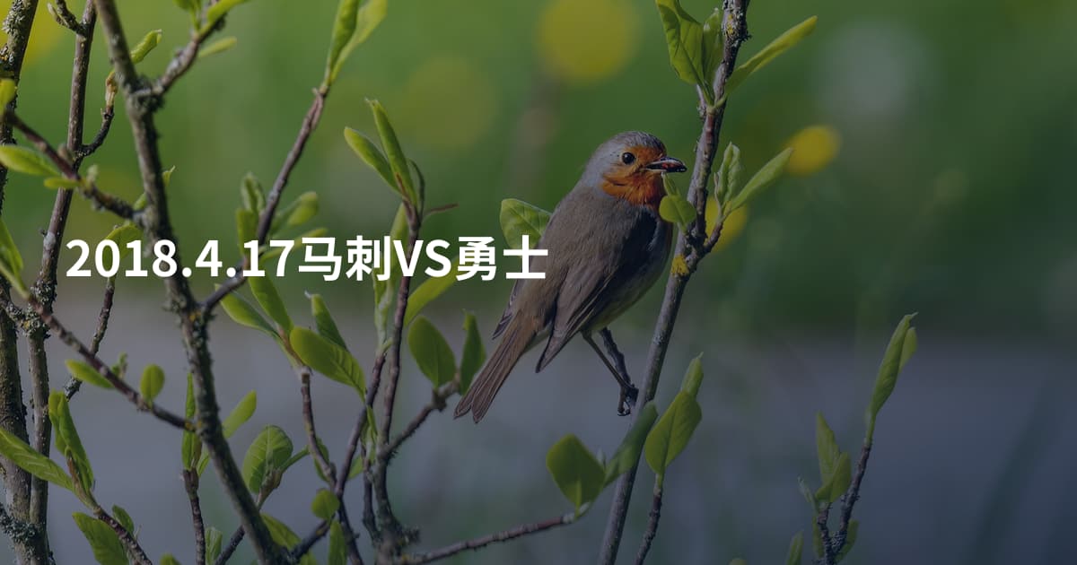 2018.4.17马刺VS勇士