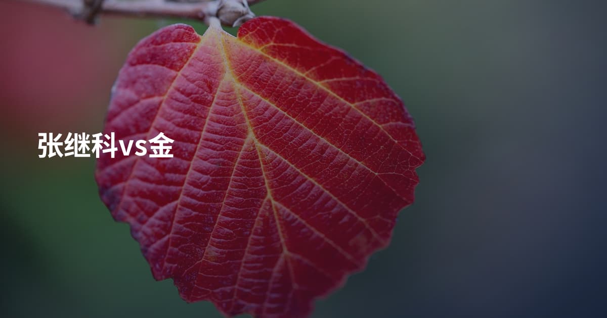 张继科vs金