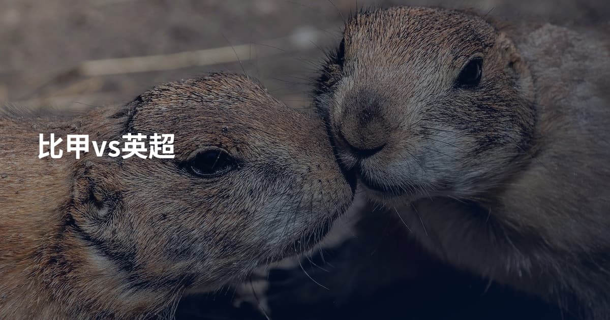 比甲vs英超