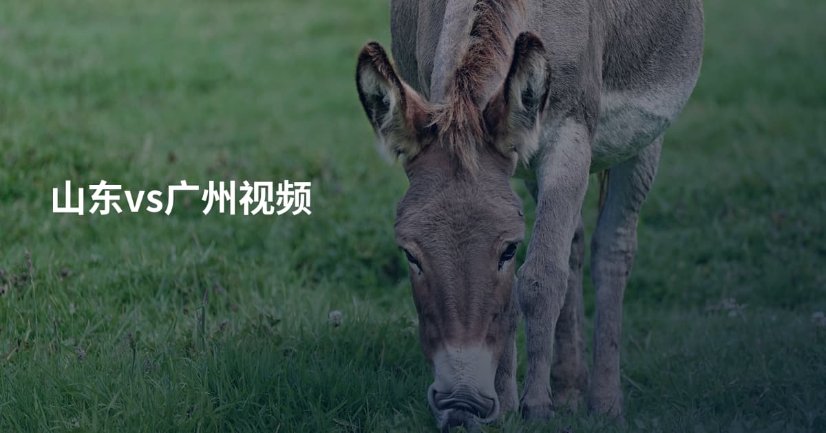 山东vs广州视频