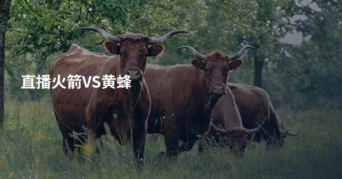 直播火箭VS黄蜂