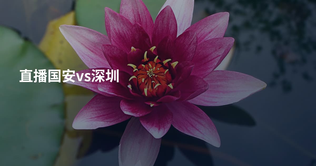 直播国安vs深圳