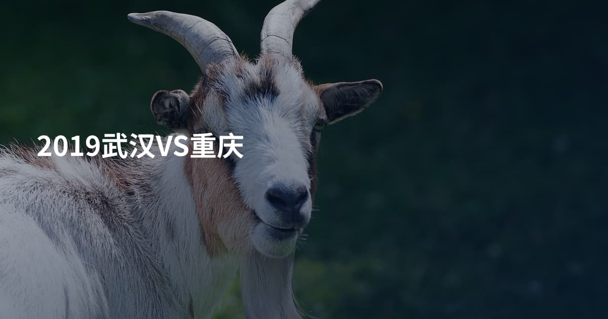 2019武汉VS重庆