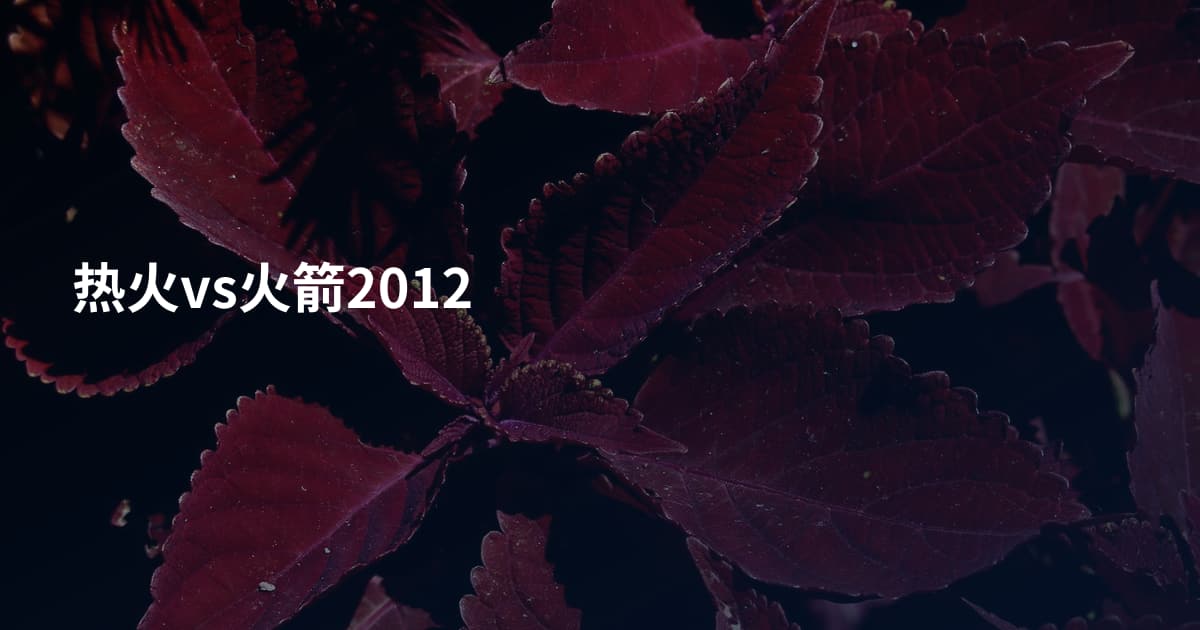 热火vs火箭2012