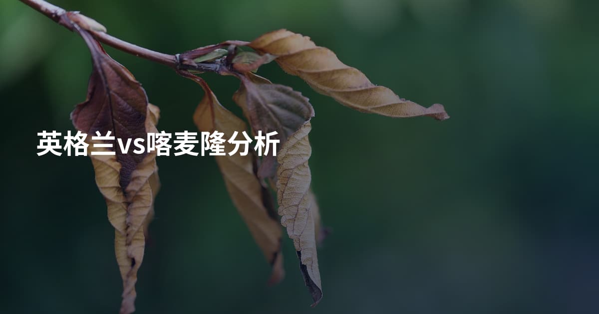 英格兰vs喀麦隆分析