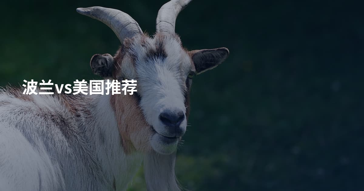 波兰vs美国推荐