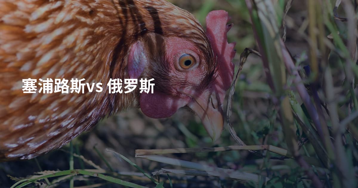 塞浦路斯vs 俄罗斯