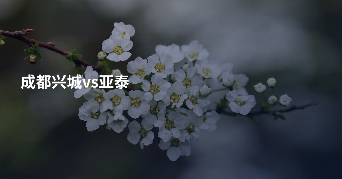 成都兴城vs亚泰