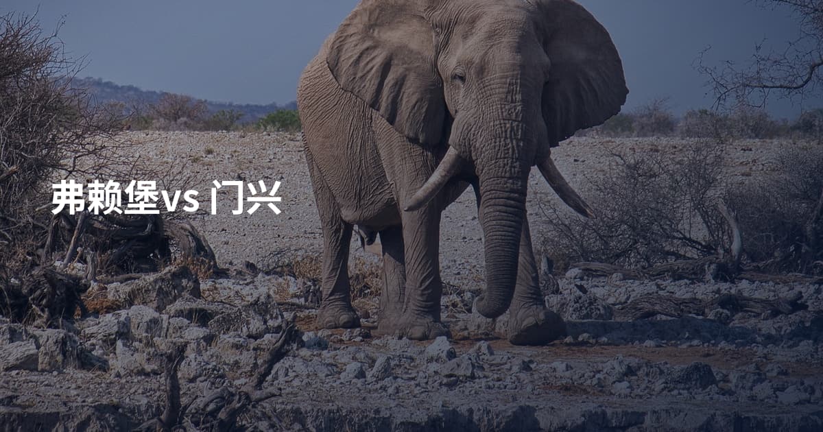 弗赖堡vs 门兴