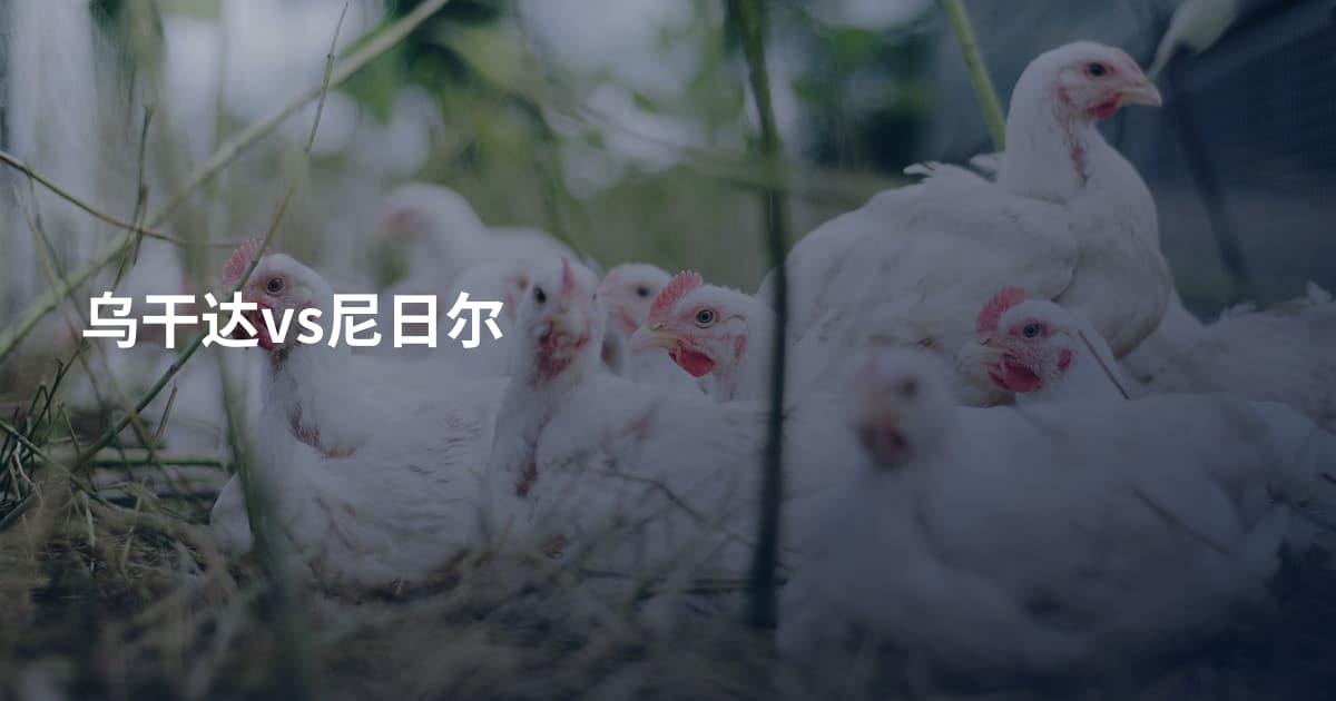 乌干达vs尼日尔