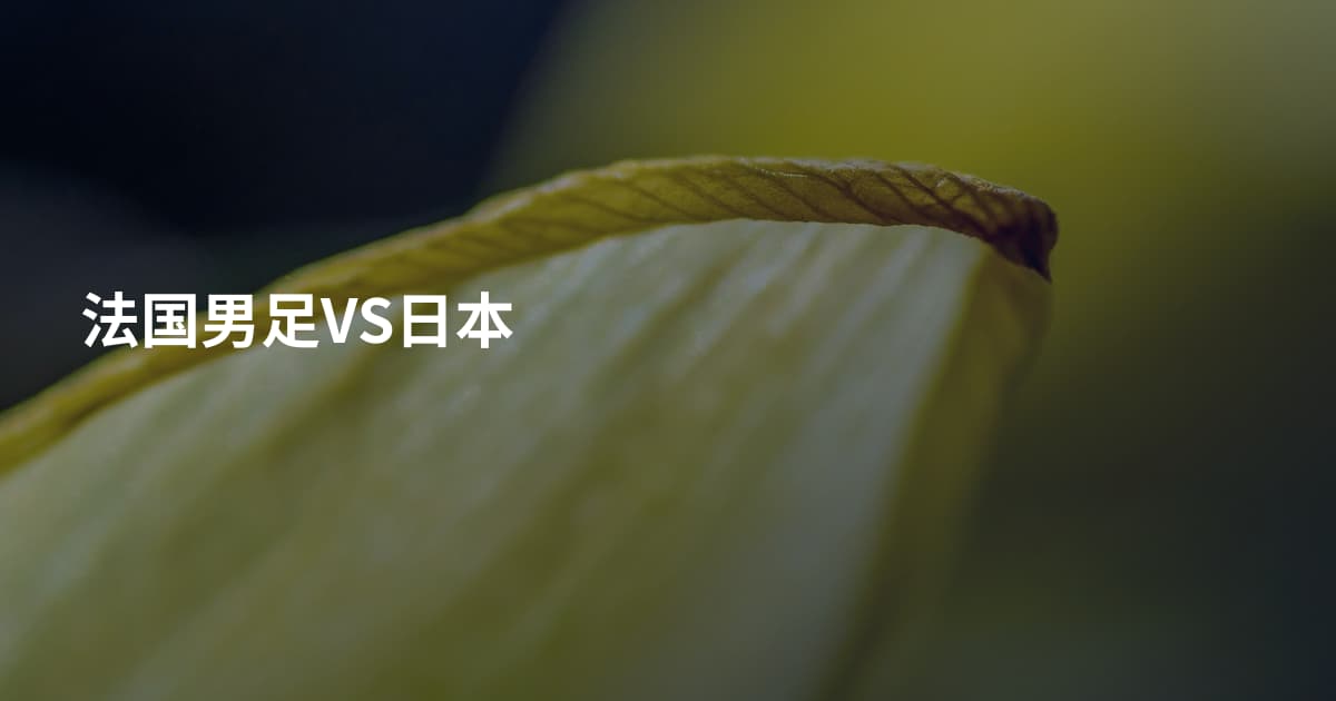 法国男足VS日本
