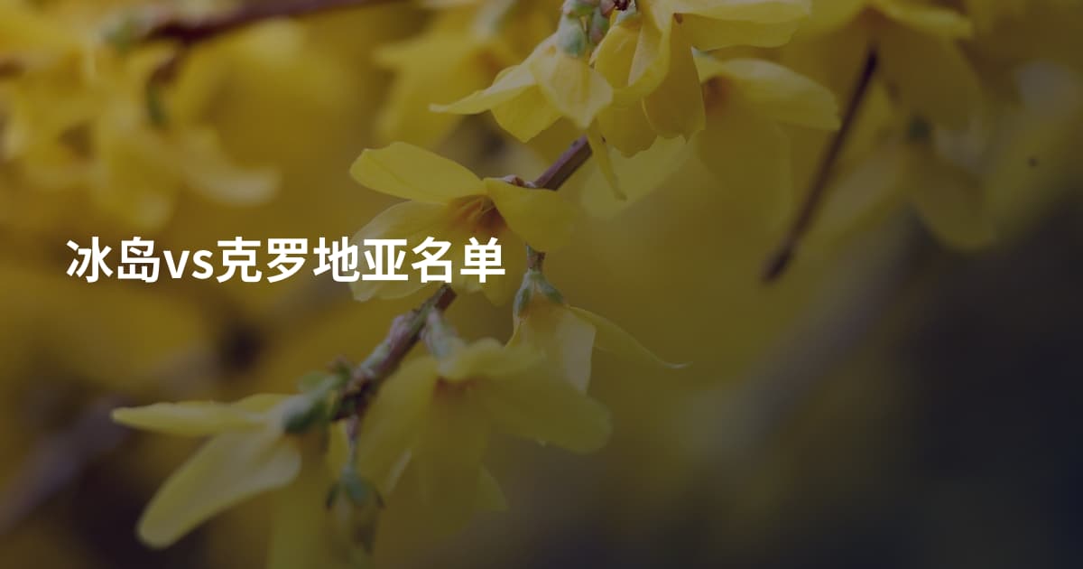 冰岛vs克罗地亚名单