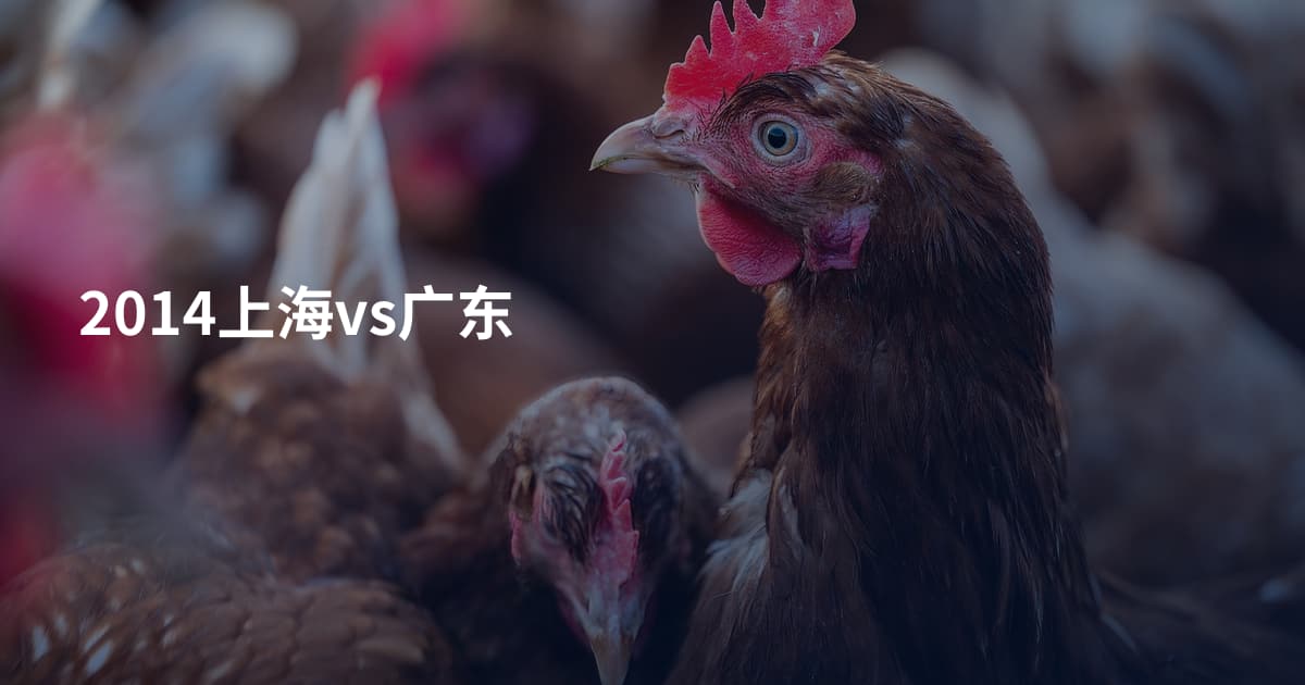 2014上海vs广东