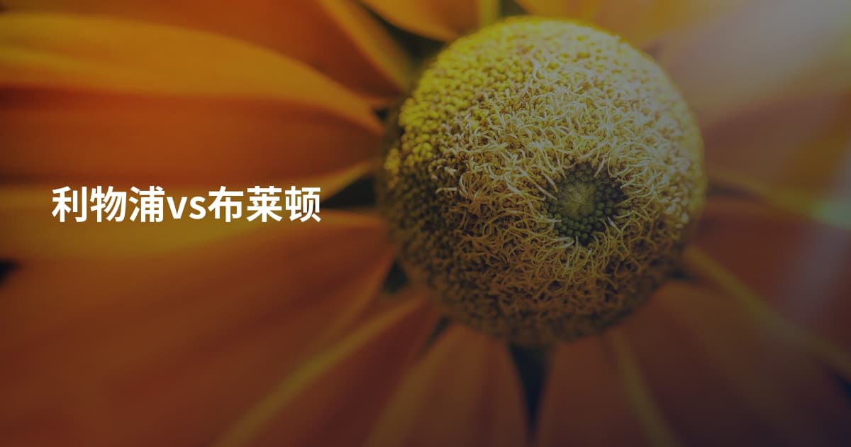 利物浦vs布莱顿