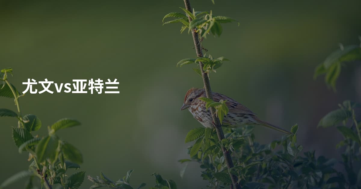 尤文vs亚特兰