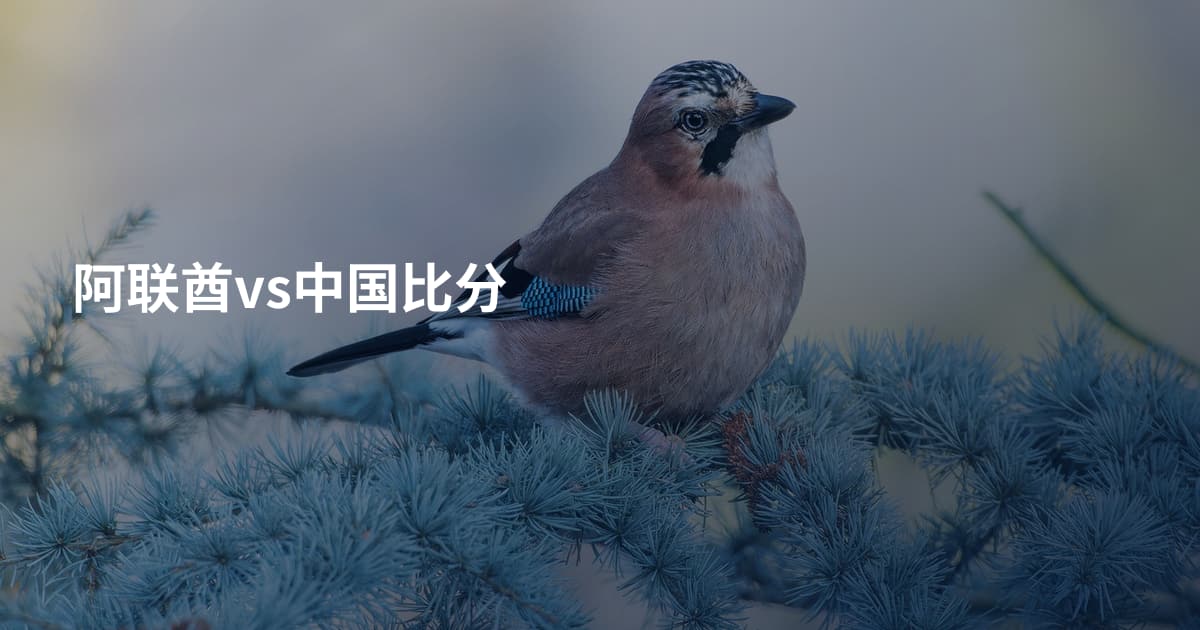 阿联酋vs中国比分