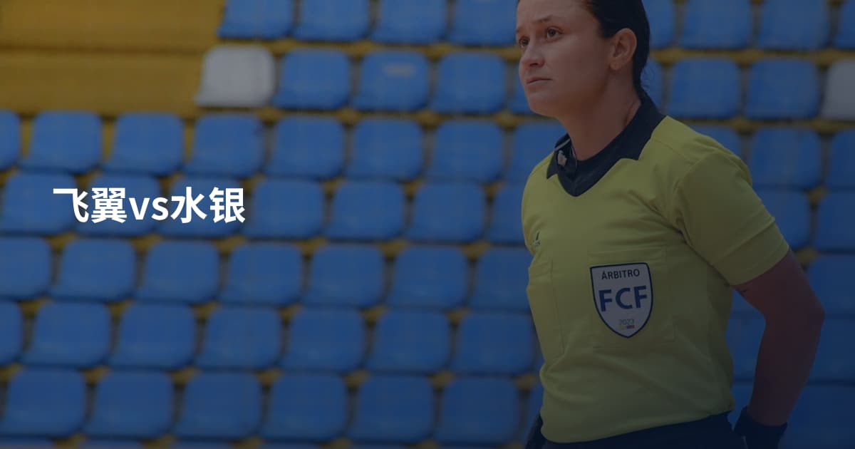 飞翼vs水银