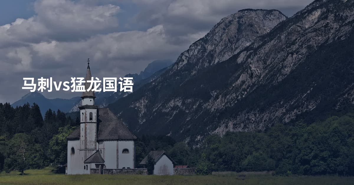 马刺vs猛龙国语