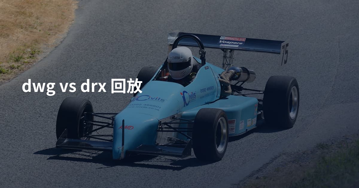 dwg vs drx 回放