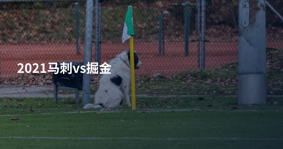 2021马刺vs掘金