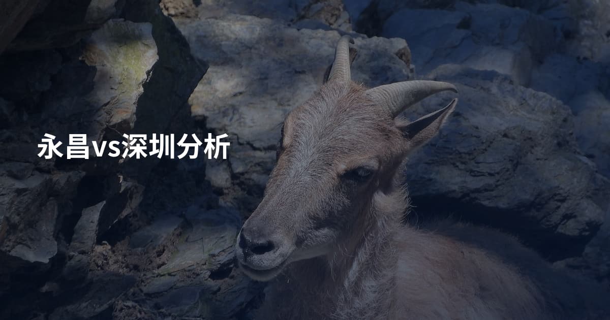 永昌vs深圳分析