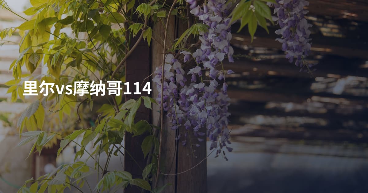 里尔vs摩纳哥114